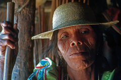 Gnobe native