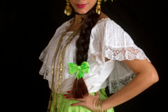 Pollera