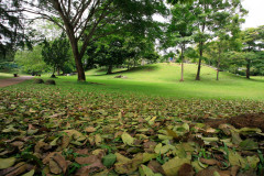 Parque Omar